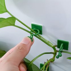   10db Öntapadós Fali Kapocs Kúszónövények Rögzítésére