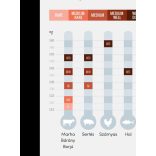 Maghőmérő, ételhőmérő, konyhai hőmérő (digitális)