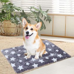 Snugly	-	Ultrapuha szőnyeg háziállatok számára