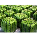 Kreatív görögdinnye-formázó