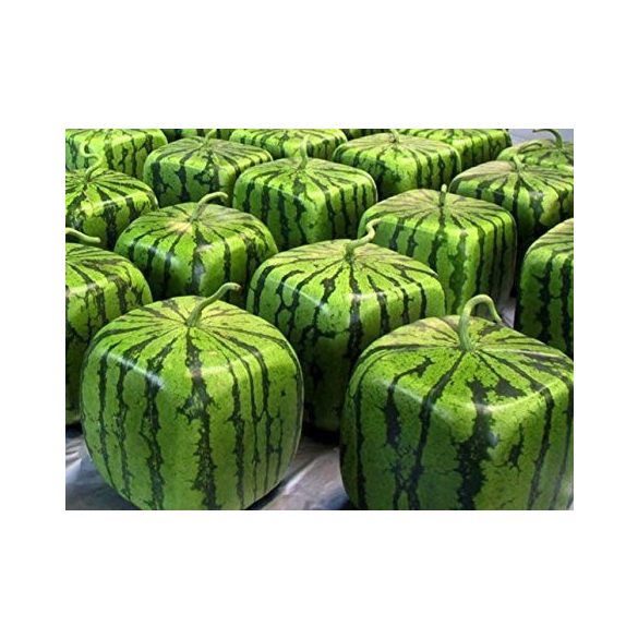 Kreatív görögdinnye-formázó