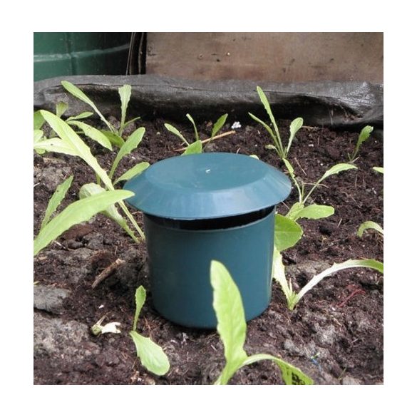 Vegyszermentes csiga csapda