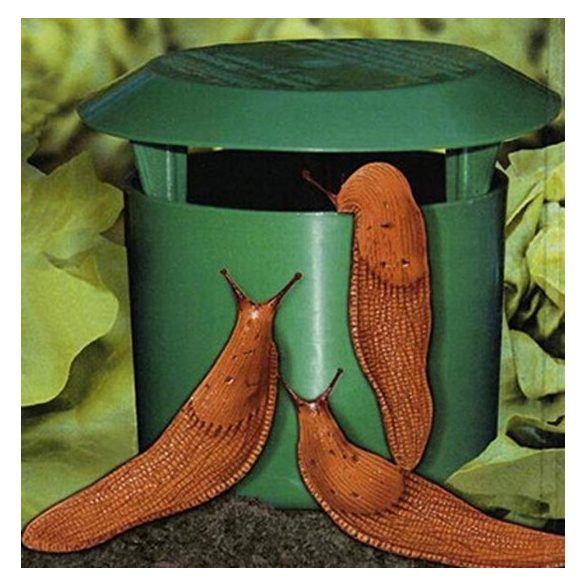 Vegyszermentes csiga csapda