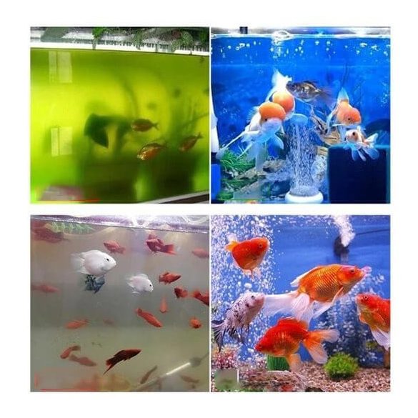 Akváriumi Hulladék és hal ürülék gyűjtő, Automata szűrő és tisztító