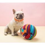 Etető labda kutyáknak és macskáknak