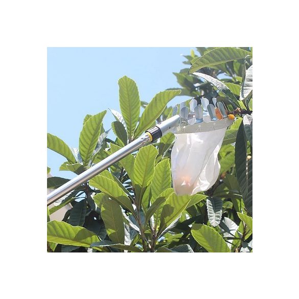 Gyümölcsszedő Szüretelő Fej