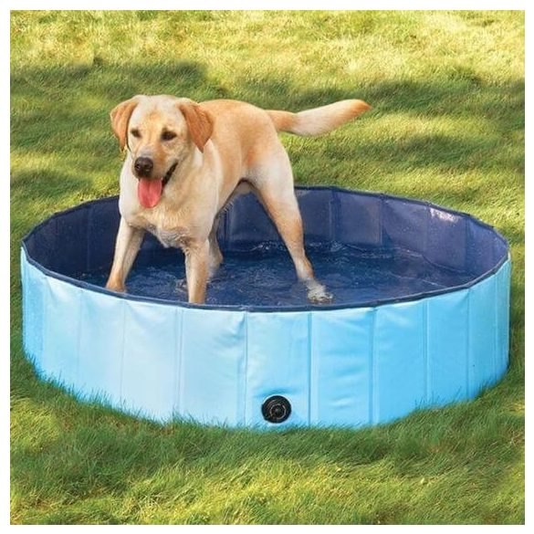 Hordozható kutyamedence