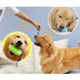 Fogtisztító kutyajáték