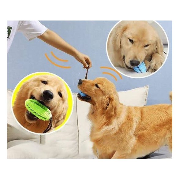 Fogtisztító kutyajáték