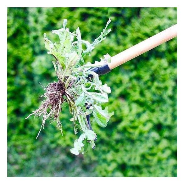 Gyomkihúzó szerszámfej, gyökér és gyomeltávolító