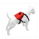 Hátizsák Kutyusoknak , Kutya Tasi