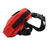 Hátizsák Kutyusoknak , Kutya Tasi