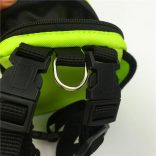 Hátizsák Kutyusoknak , Kutya Tasi