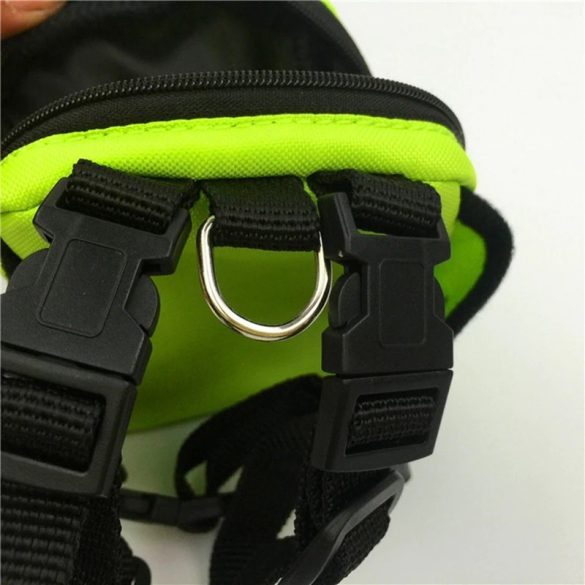 Hátizsák Kutyusoknak , Kutya Tasi