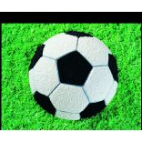 Focilabda tortaforma