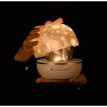 Éjjeli fény, kivetítős lámpa