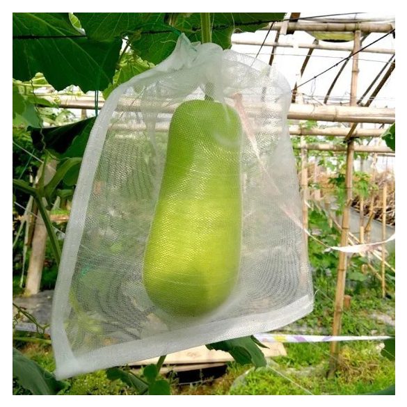 Termés Védőháló - Kártevők Ellen (50db)