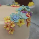 Fondant forma és mintázó készlet