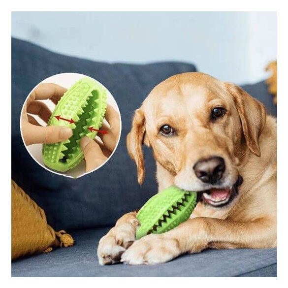 Fogtisztító kutyajáték