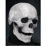 Koponya maszk mozgatható állkapoccsal