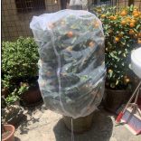 Kerti növénytakaró védőháló rovarok ellen - 100 x 150 cm