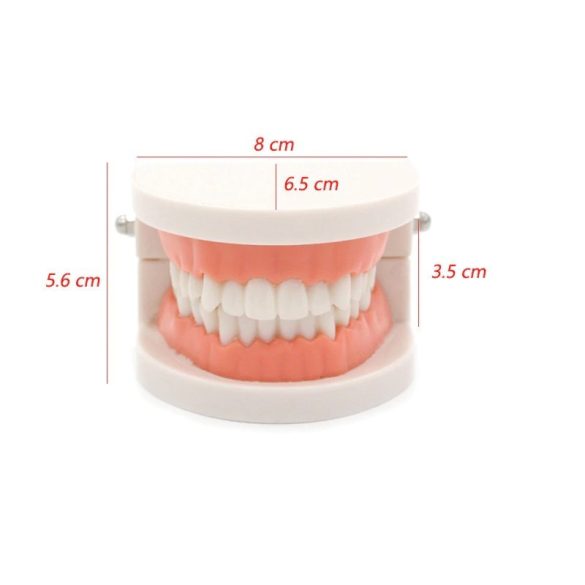 Fogmosás oktató segédeszköz gyermekek számára