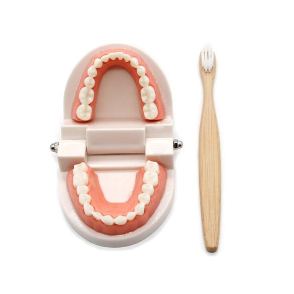 Fogmosás oktató segédeszköz gyermekek számára