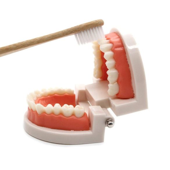 Fogmosás oktató segédeszköz gyermekek számára