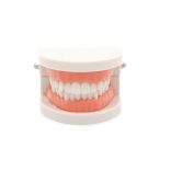 Fogmosás oktató segédeszköz gyermekek számára