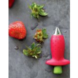 Eper, paradicsom csumázó