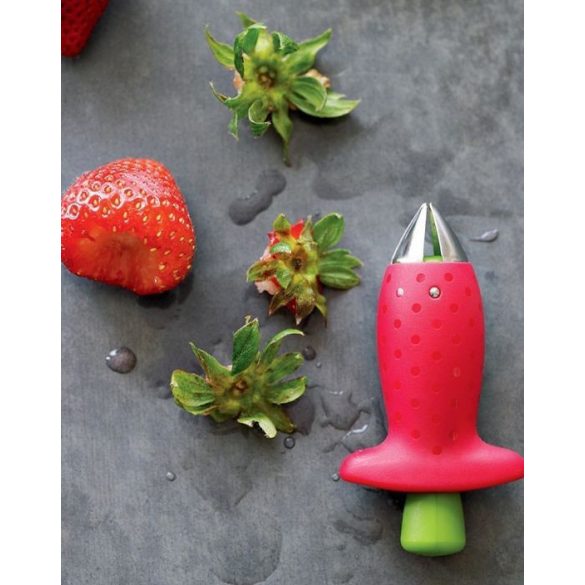 Eper, paradicsom csumázó