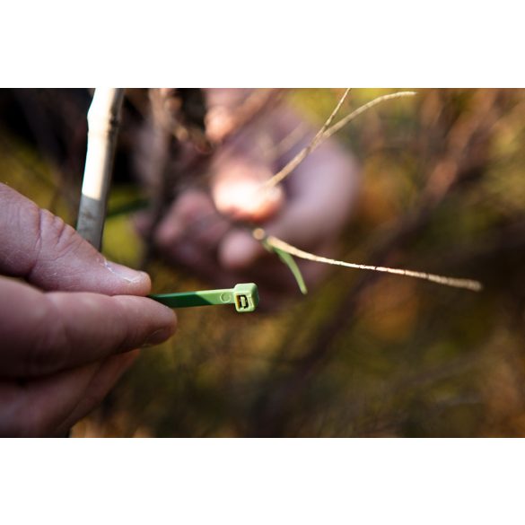 NEO TOOLS Kerti kötegelő, gyorskötöző 7,6x380mm, 50db, zöld 15-971