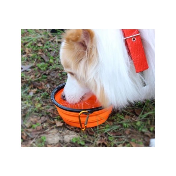 Latex hordozható etető és itató tál kutyáknak (350ML)