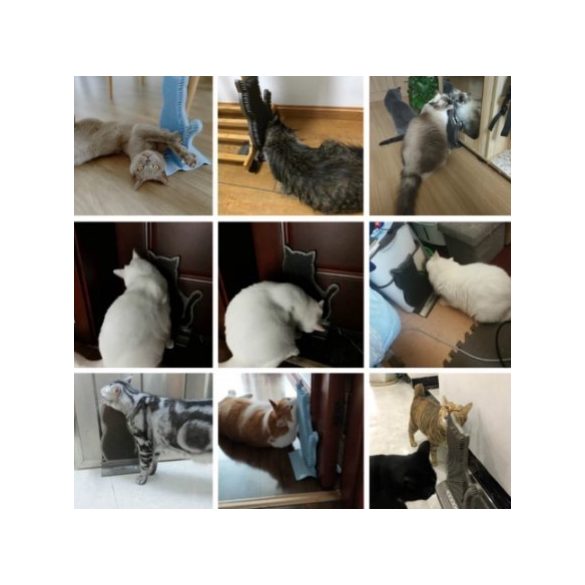 Önmasszázs kefe macskáknak