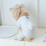 Kényelmes vastagított kisállat ruha medállal és pórázcsatlakozási lehetőséggel