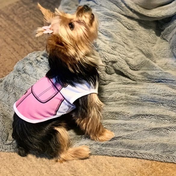 Nyári Kutyamellény, Légáteresztő Hálós Kialakítással, Kis És Közepes Kutyák Számára