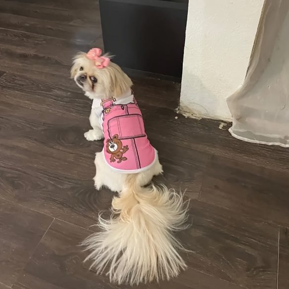 Nyári Kutyamellény, Légáteresztő Hálós Kialakítással, Kis És Közepes Kutyák Számára