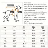 Fényvisszaverő, vízálló kutyaruha
