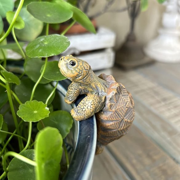 Rusztikus gyanta teknős szobor