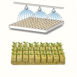 100db hidroponikus termesztőkocka
