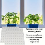 100db Hidroponikus Négyzet alakú palántaszivacs