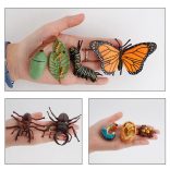 Életciklus Modell - oktató játék