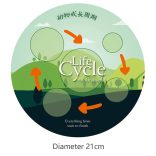 Életciklus Modell - oktató játék