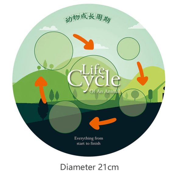 Életciklus Modell - oktató játék