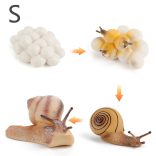 Életciklus Modell - oktató játék