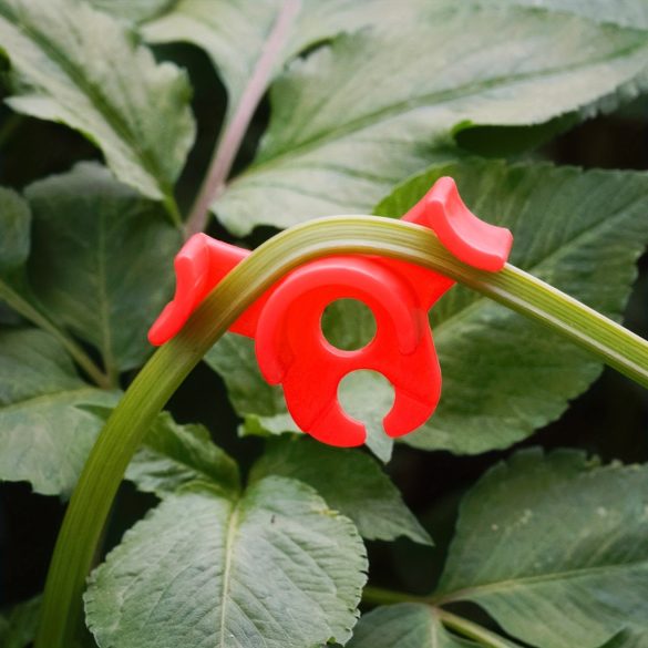 10db Klipsz Növényekhez