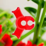 10db Klipsz Növényekhez