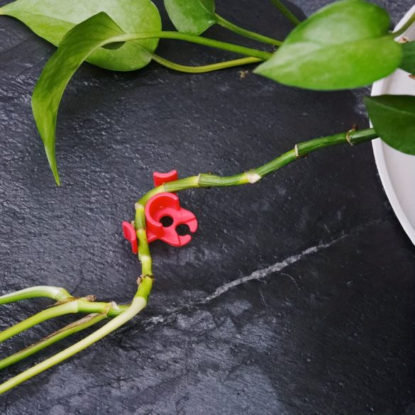 10db Klipsz Növényekhez