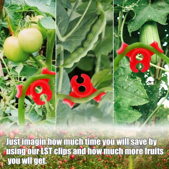 10db Klipsz Növényekhez