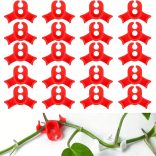 10db Klipsz Növényekhez